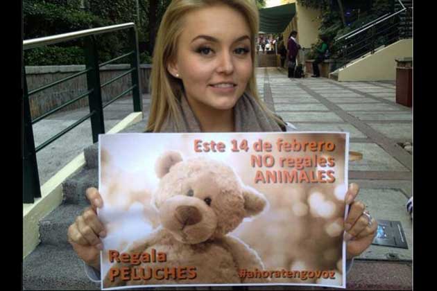 animales-angelique-boyer