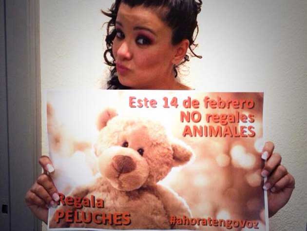 maria-jose-animales