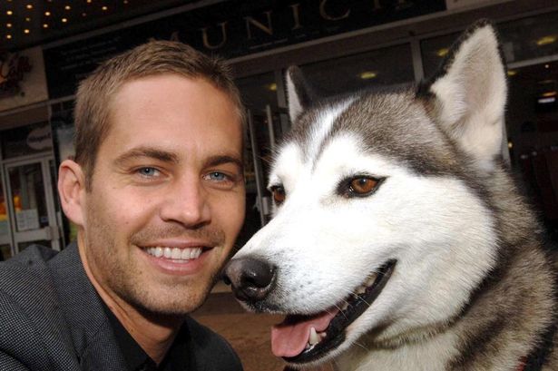 paul walker