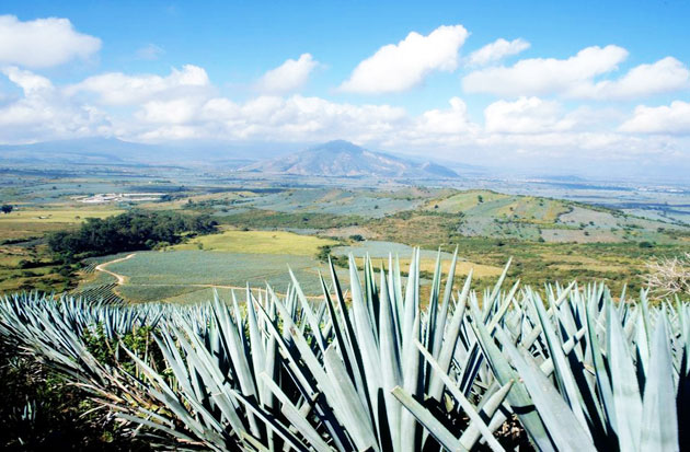 Tequila Jalisco