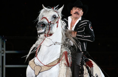 joan-sebastian-caballo-caida