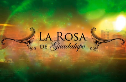 rosa de guadalupe